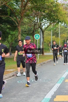 Runner Photo 5676192