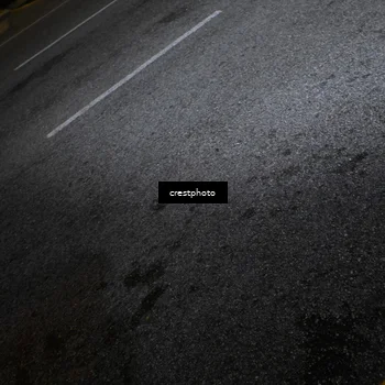 Runner Photo 5677506