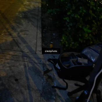 Runner Photo 5677513