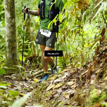 Runner Photo 5690476