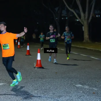 Runner Photo 5696895