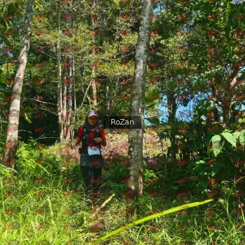 Runner Photo 5698