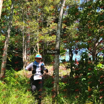 Runner Photo 5709