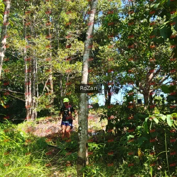 Runner Photo 5720