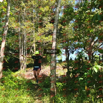 Runner Photo 5723