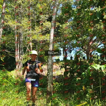 Runner Photo 5725