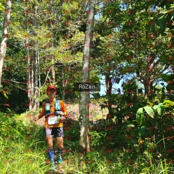 Runner Photo 5727