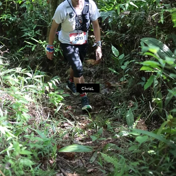 Runner Photo 5730863