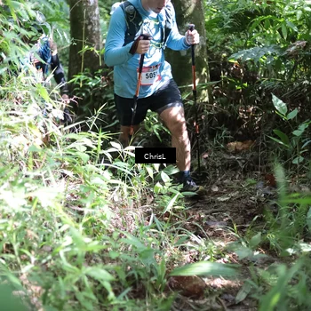 Runner Photo 5730898