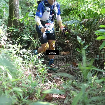 Runner Photo 5730947