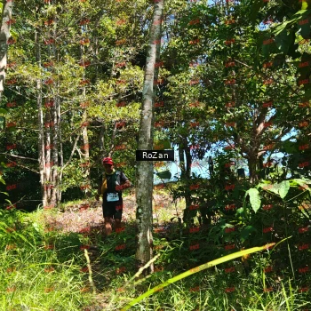 Runner Photo 5732