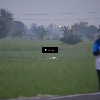 Runner Photo 5744137