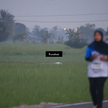 Runner Photo 5744141