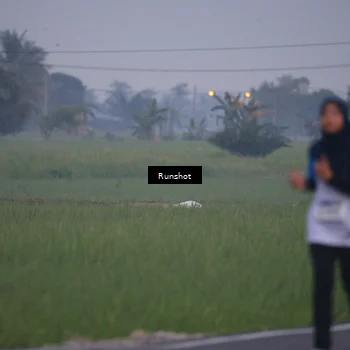 Runner Photo 5744148