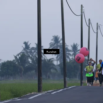 Runner Photo 5745651