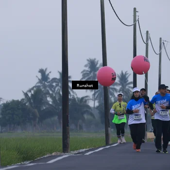 Runner Photo 5745698