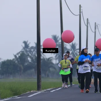 Runner Photo 5745723