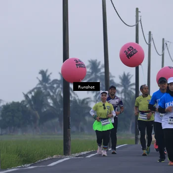 Runner Photo 5745741