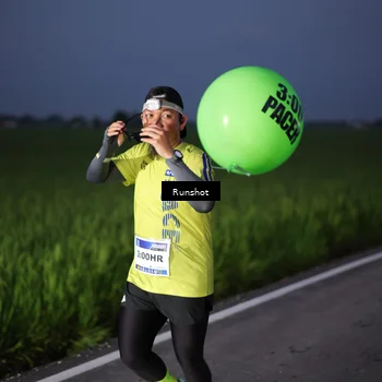 Runner Photo 5747163