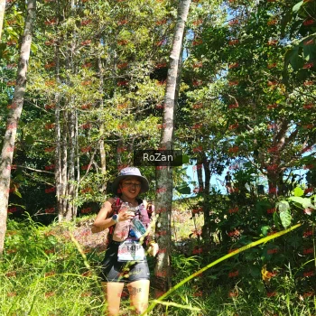 Runner Photo 5754