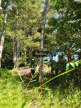 Runner Photo 5756