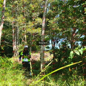 Runner Photo 5758