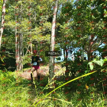 Runner Photo 5760