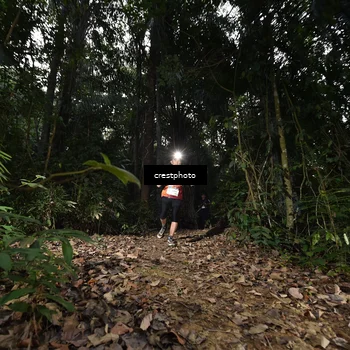 Runner Photo 5770374