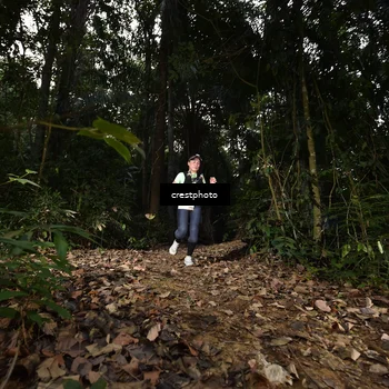 Runner Photo 5770381