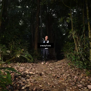 Runner Photo 5770422