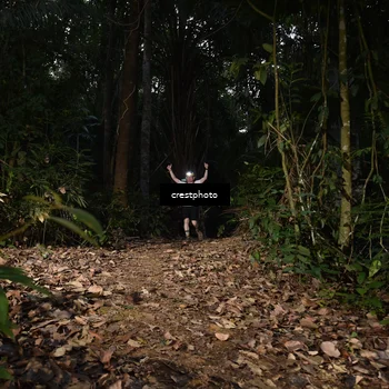 Runner Photo 5770432