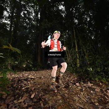 Runner Photo 5770440