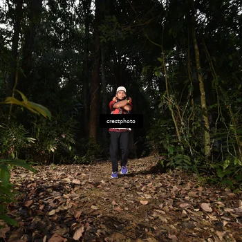 Runner Photo 5770441