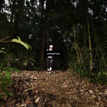 Runner Photo 5770459