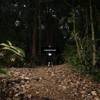 Runner Photo 5770476