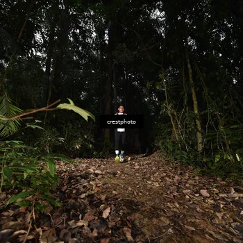 Runner Photo 5770478