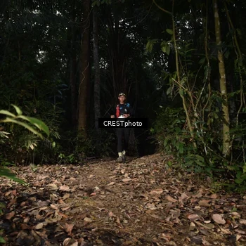 Runner Photo 5770487