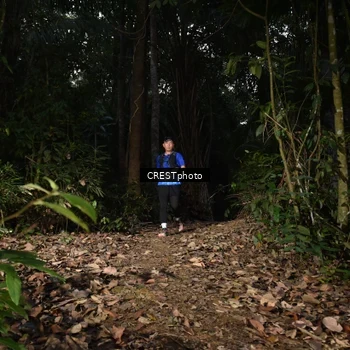 Runner Photo 5770504