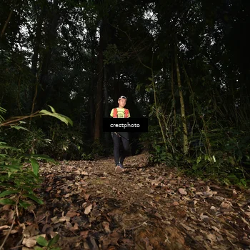 Runner Photo 5770531