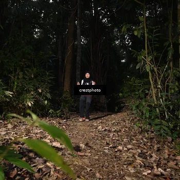 Runner Photo 5770543
