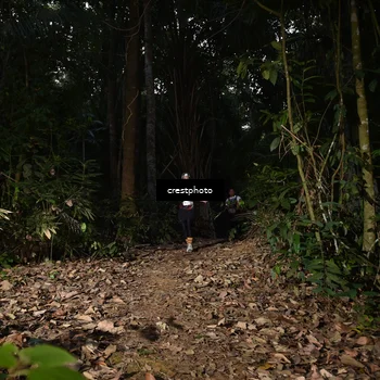 Runner Photo 5770555