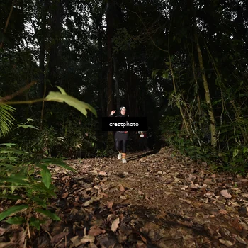 Runner Photo 5770560