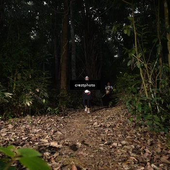 Runner Photo 5770562