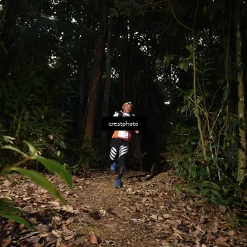 Runner Photo 5770601