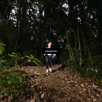 Runner Photo 5770613