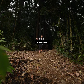 Runner Photo 5770681