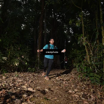 Runner Photo 5770692