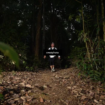 Runner Photo 5770698