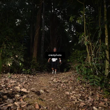 Runner Photo 5770704