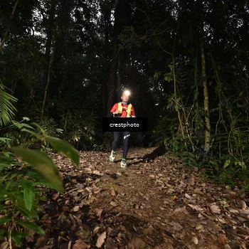 Runner Photo 5770712